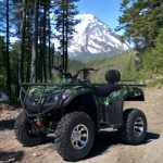 ATV MaxMotors Animal SPORT 6000W+ Green Camouflage