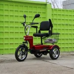 ЕЛЕКТРИЧЕСКА ТРИКОЛКА A6 LUX+ 1000W RED