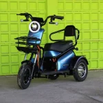 Двуместна електрическа триколка MaxMotors Pudding 1800W-48V-20Ah - Image 3