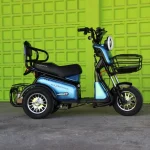 Двуместна електрическа триколка MaxMotors Pudding 1800W-48V-20Ah