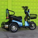 Двуместна електрическа триколка MaxMotors Pudding 1800W-48V-20Ah - Image 4