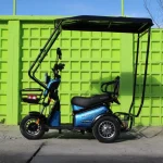 Електрическа триколка MaxMotors Pudding с покрив