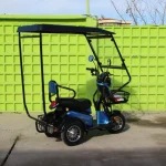 Електрическа триколка MaxMotors Pudding с покрив - Image 3