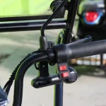 Електрическа триколка MaxMotors Pudding с покрив - Image 6