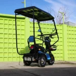 Електрическа триколка MaxMotors Pudding с покрив - Image 8