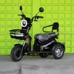 Двуместна електрическа триколка MaxMotors Pudding 1800W-48V-20Ah