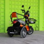 Двуместна електрическа триколка MaxMotors Pudding 1800W-48V-20Ah - Image 4