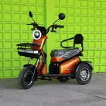 Двуместна електрическа триколка MaxMotors Pudding 1800W-48V-20Ah