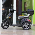 Електрическа Фамозна триколка MaXmotors FM1 1500W - BLACK - Image 5
