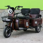 Двуместна CARGO електрическа триколка Max Motors CARGO LUX 1500W BROWN