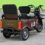 Двуместна CARGO електрическа триколка Max Motors CARGO LUX 1500W BROWN - Image 2