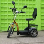 Електрическа триколка Max Motors А3 с предно предаване 750W - Image 6