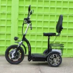 Електрическа триколка Max Motors А3 с предно предаване 750W BLACK - Image 2