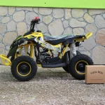 Детско бензиново ATV 49сс, Max Motors SPORT - Image 2