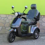 Електрическа триколка Max Motors FM2 PRO 1800W, 25Ah, GRAY