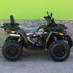 ATV 250 кубика MaxMotors Shark GREEN - Image 4